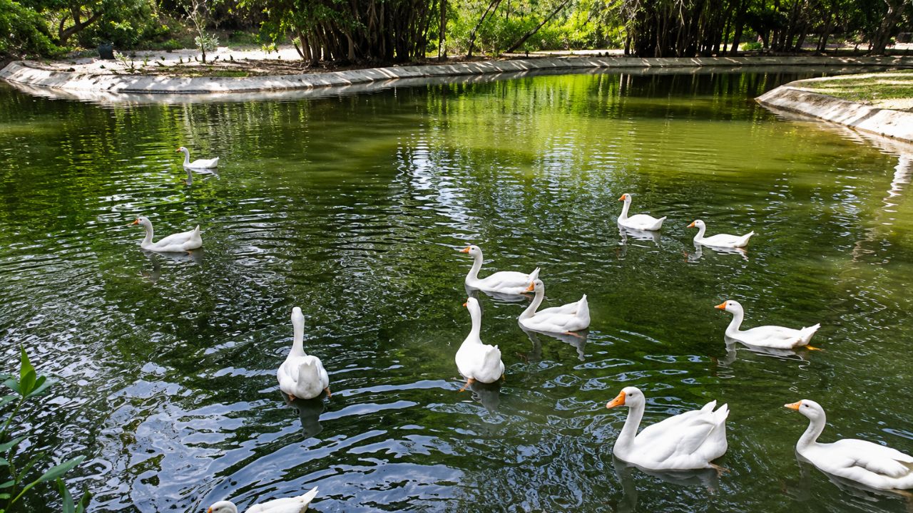 Bharthana National Park Surat