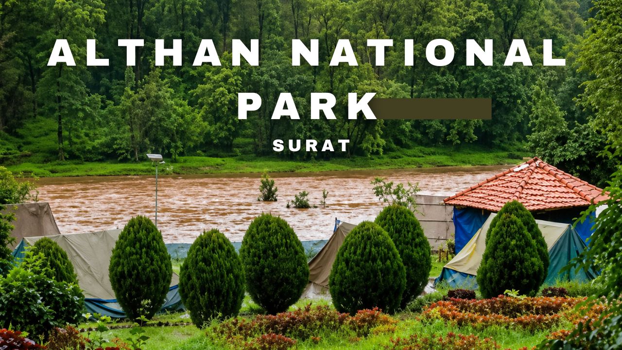 Althan National Park Surat