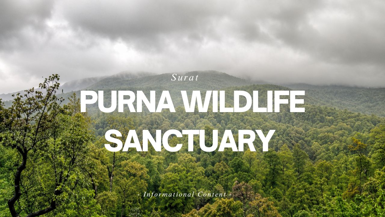Purna Wildlife Sanctuary Surat