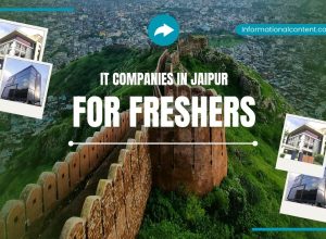 IT Companies for Freshers